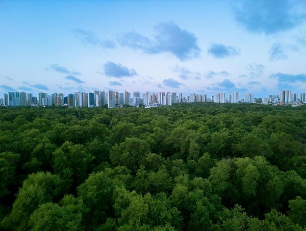 Quel iphone reconditionné choisir pour vos besoins?